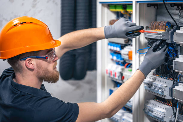 Best Electric Panel Repair  in Defiance, OH